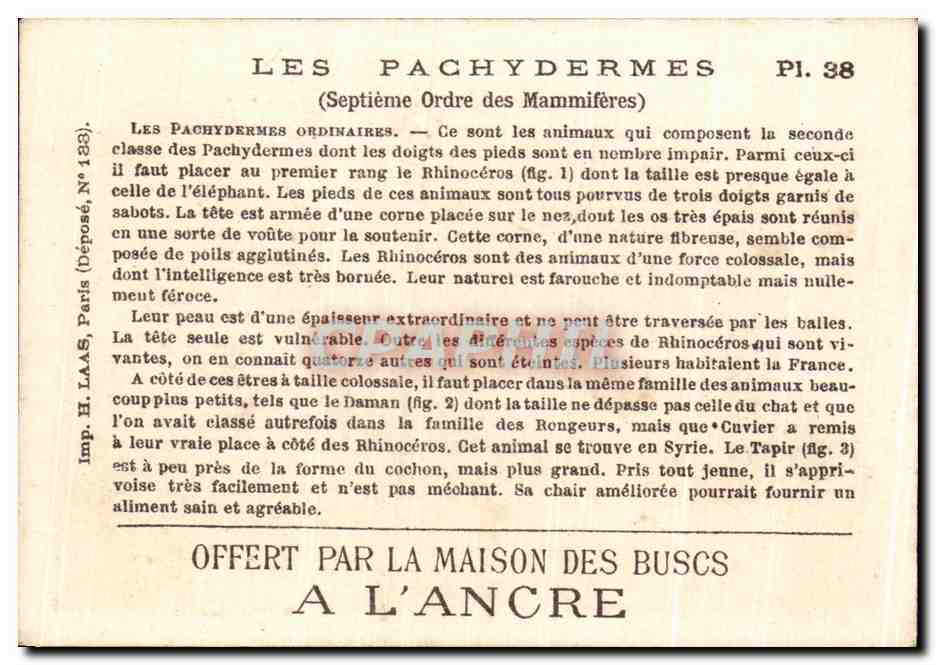 Chromo Les Pachydermes Ordinaires Maison des Buscs a l'Ancre — Rückseite