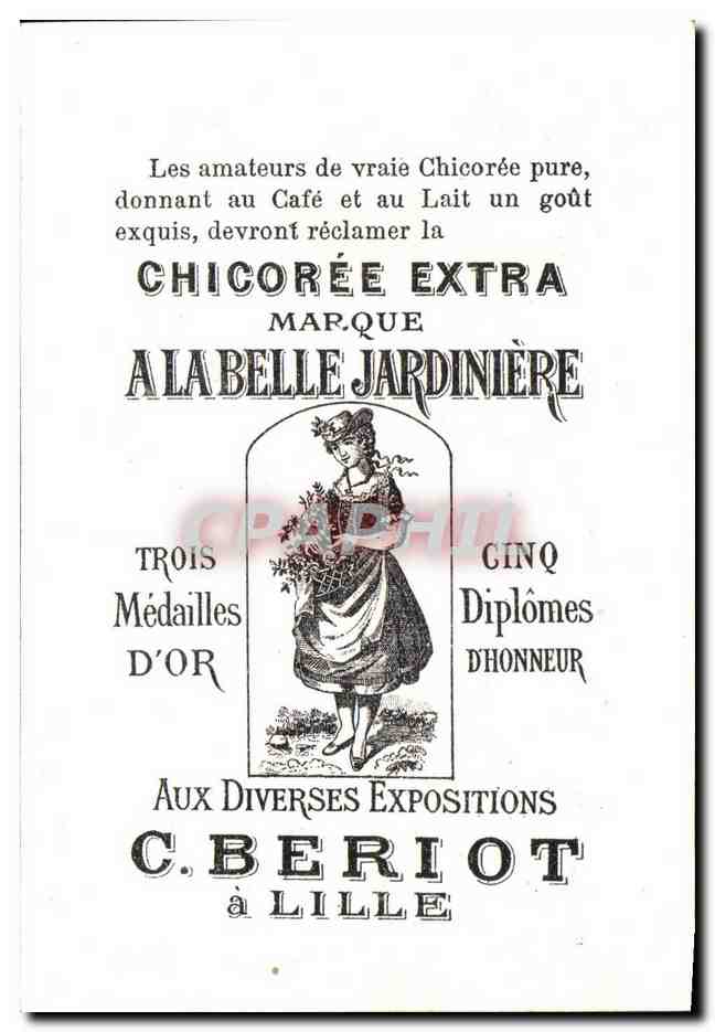 mo Chicoree A la belle Jardiniere Berlot Lille Fleurs Oiseau  — Back
