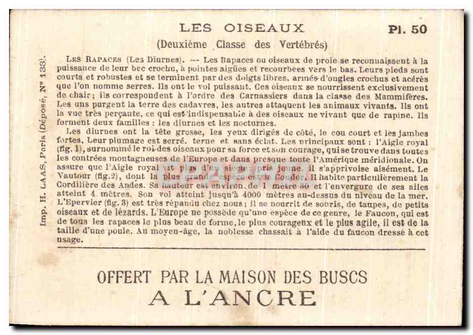 Chromo Les Oiseaux Les Rapaces ou oiseaux de Proie Aigle Vautour  — Rückseite