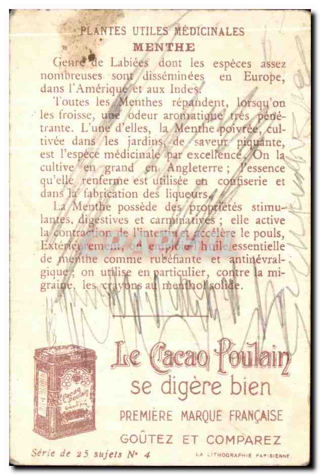 Chromo Les Plantes Utiles Plantes Medicinales Menthe Chocolat Poulain Orange  — Rückseite