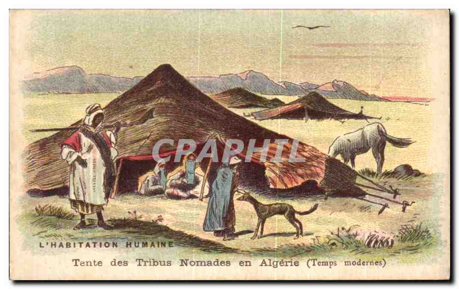 Chromo L'Habitation Humaine Tente des Tribus Nomades en Algerie