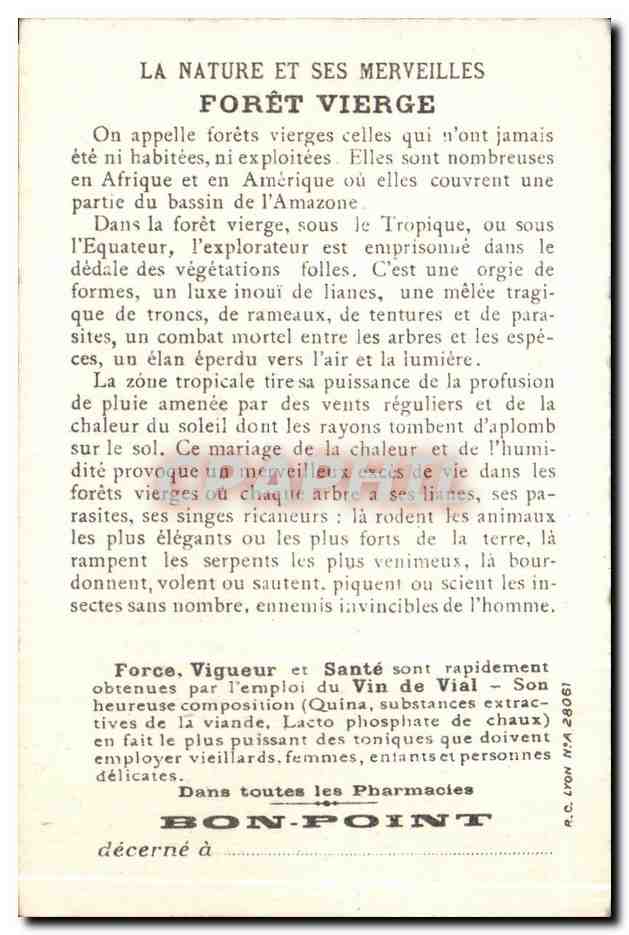 Chromo La Nature Et Ses Merveilles Foret Vierge — Verso