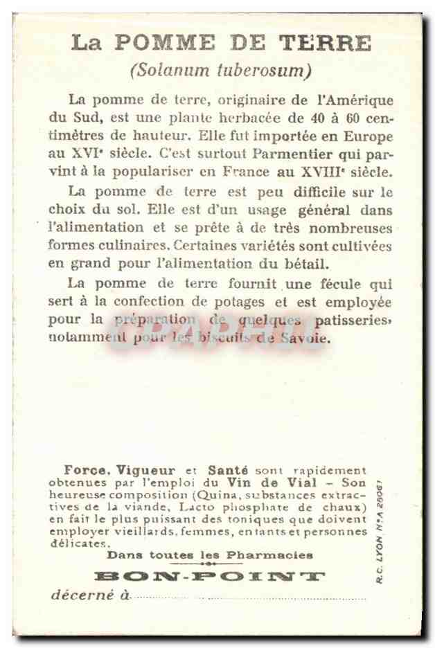 Récolte des Pommes de terre — Dans les Grandes Cultures — Bon Point — Verso