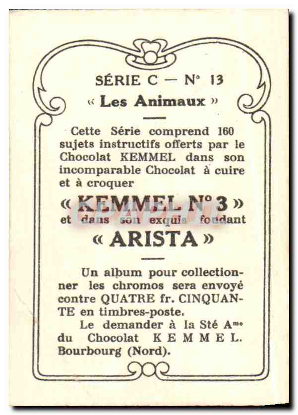 Image Kemmel Arista Abu Markub — Verso