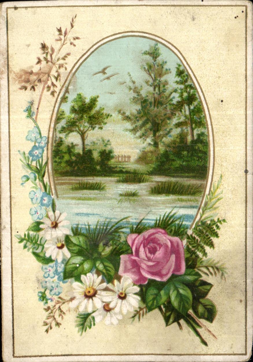 Chromo Fleurs 
