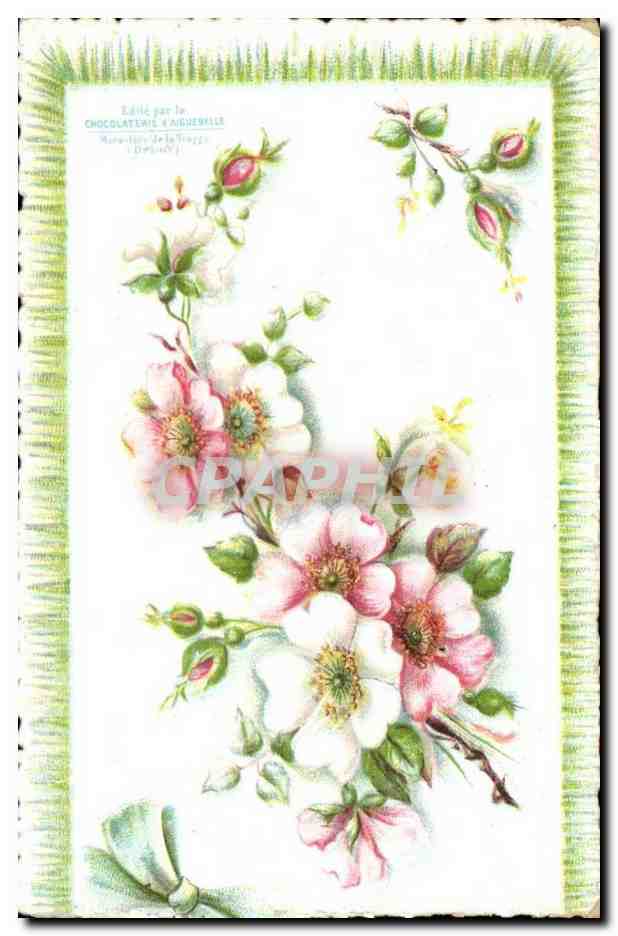 Chromo Fleurs Chocolat d'Aiguebelle Trappe