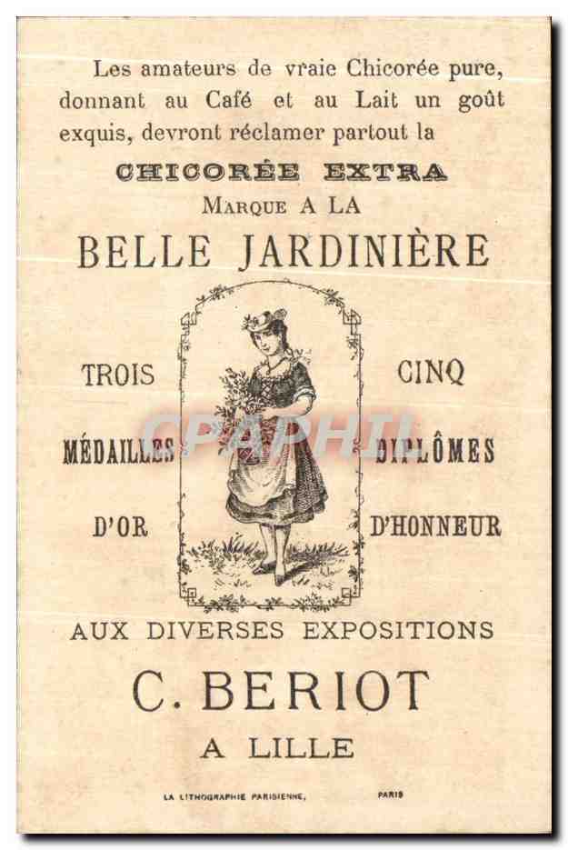 Chromo Poitou Trefle des marais Fleurs de France Belle Jardiniere Beriot lille chicoree — Verso