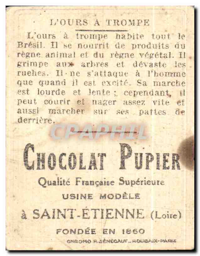 Image L'Ours A Trompe Chocolat Pupier — Rückseite