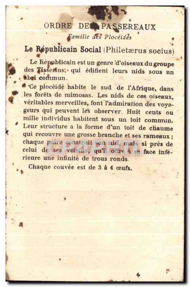 Chromo Le Republicain Le passereaux — Back