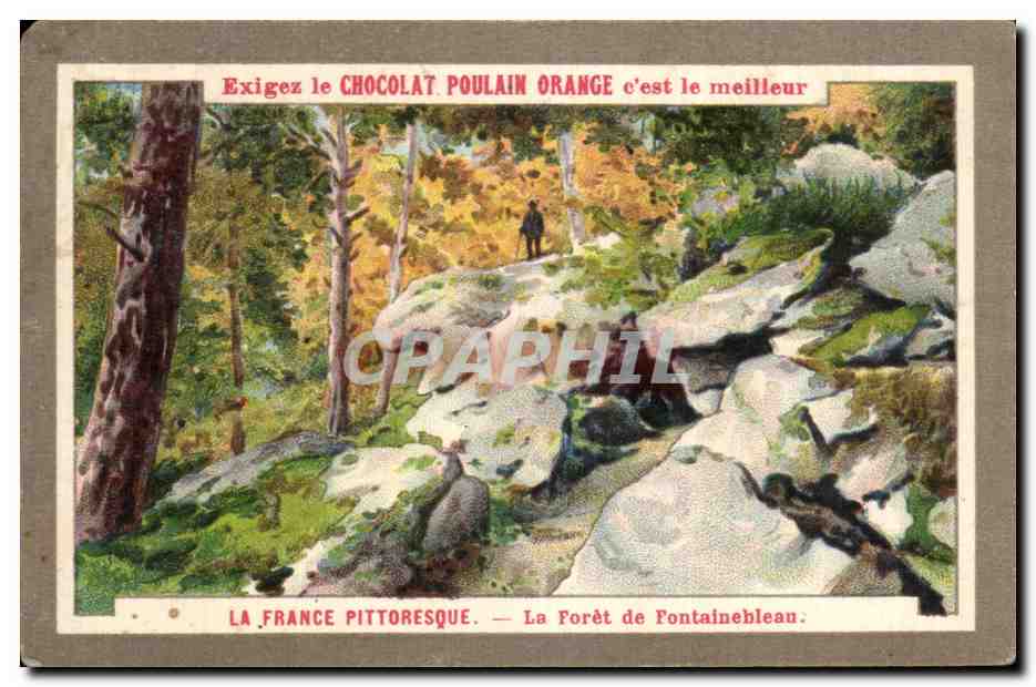 Chromo Chocolat Poulain Orange e'est le meilleur La France Pittoresque La Foret de Fontainebleau