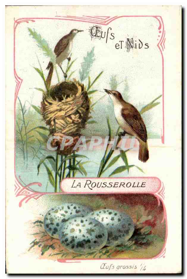 Titre par défaut