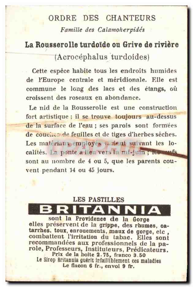 Titre par défaut — Verso