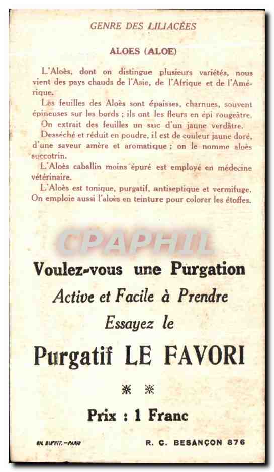 Image Les Plantes Medicinales Purgatif Le Favori Aloes — Verso
