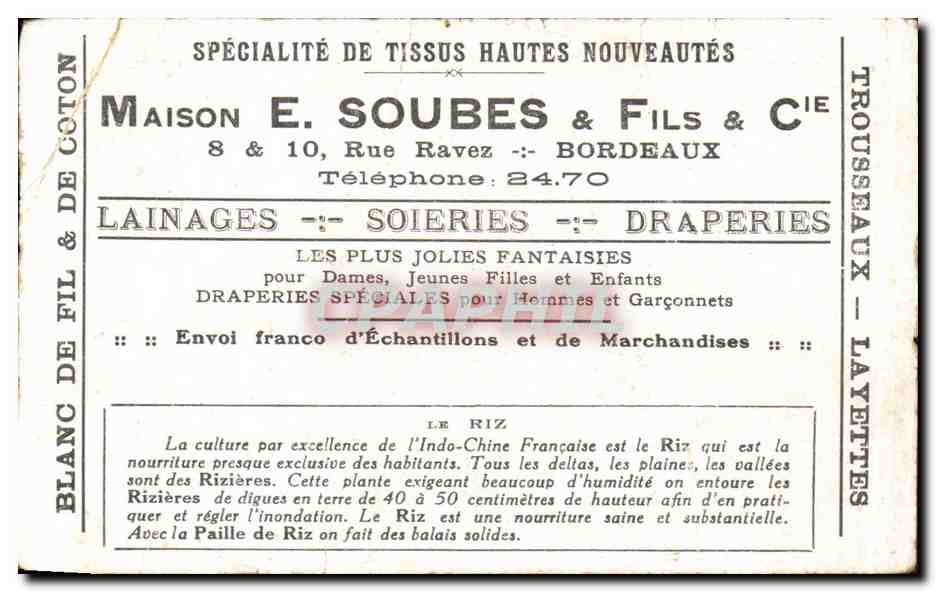 Image Plantes Exotiques Une Riziere Maison Soubes rue Ravez bordeaux  — Back