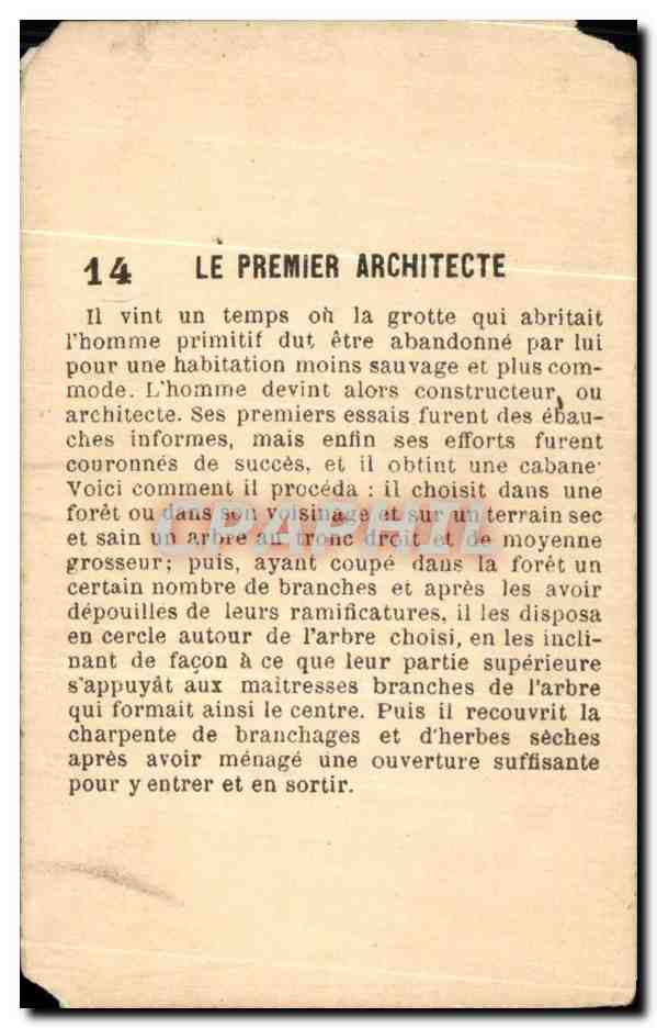 Image Le Premier Architecte — Verso