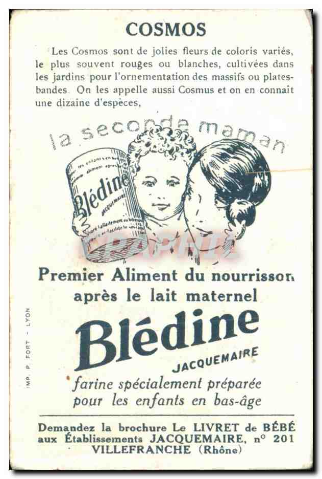 Image La Bledine Cosmos Fleurs  — Verso