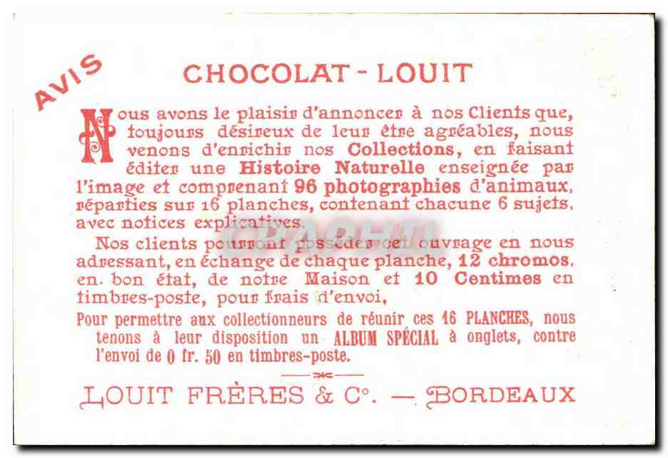 Chromo Chocolat Louit Falcinelle Erolia  — Verso