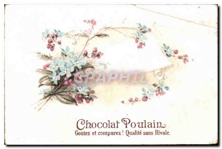 Chromo Chocolat Poulain Fleurs 