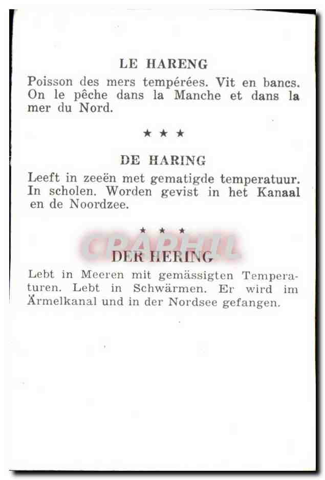 Image Le Hareng Poisson  — Back