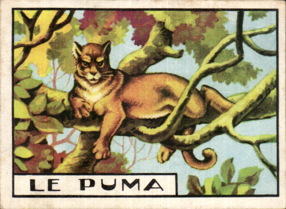 Image Le Puma