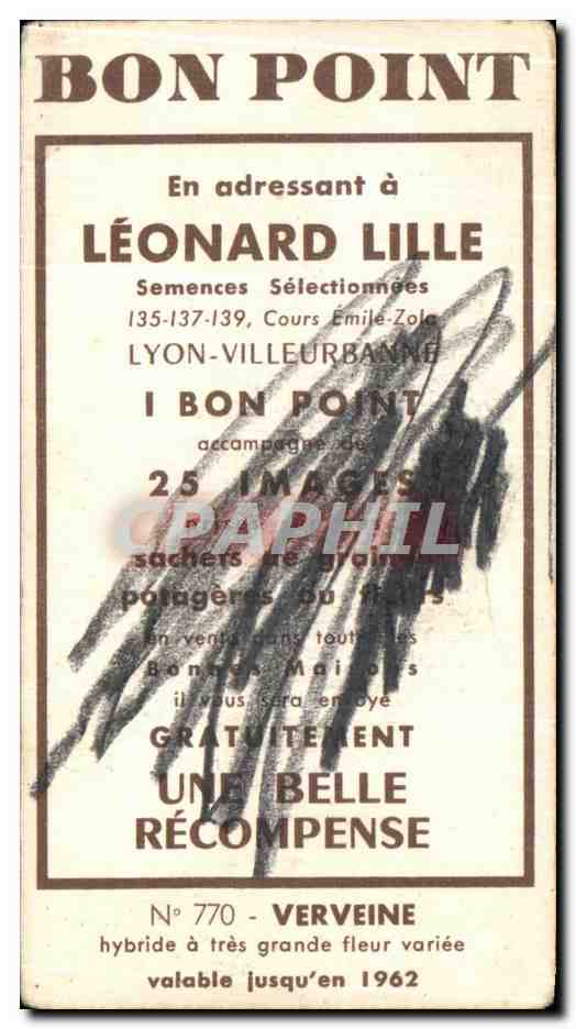 Image Fleurs Leonard Lille Verveine — Verso
