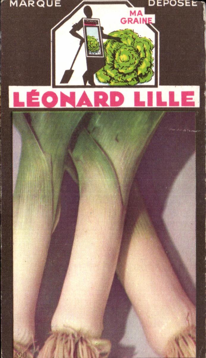 Image Fleurs Leonard Lille Poireau