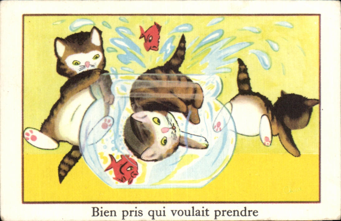 Image Bien Pris qui voulait prendre Chats 