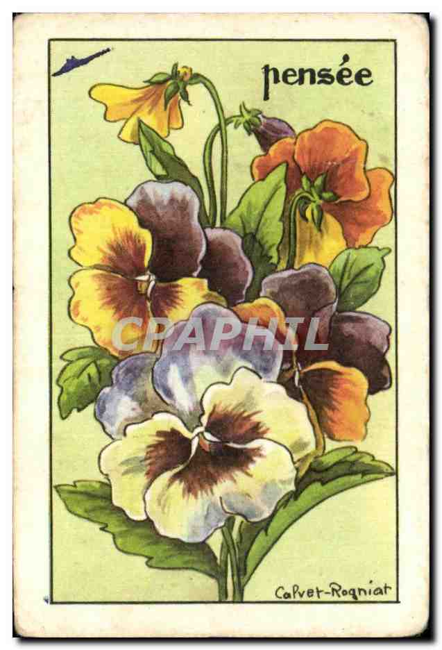 Image Fleurs Pensee 