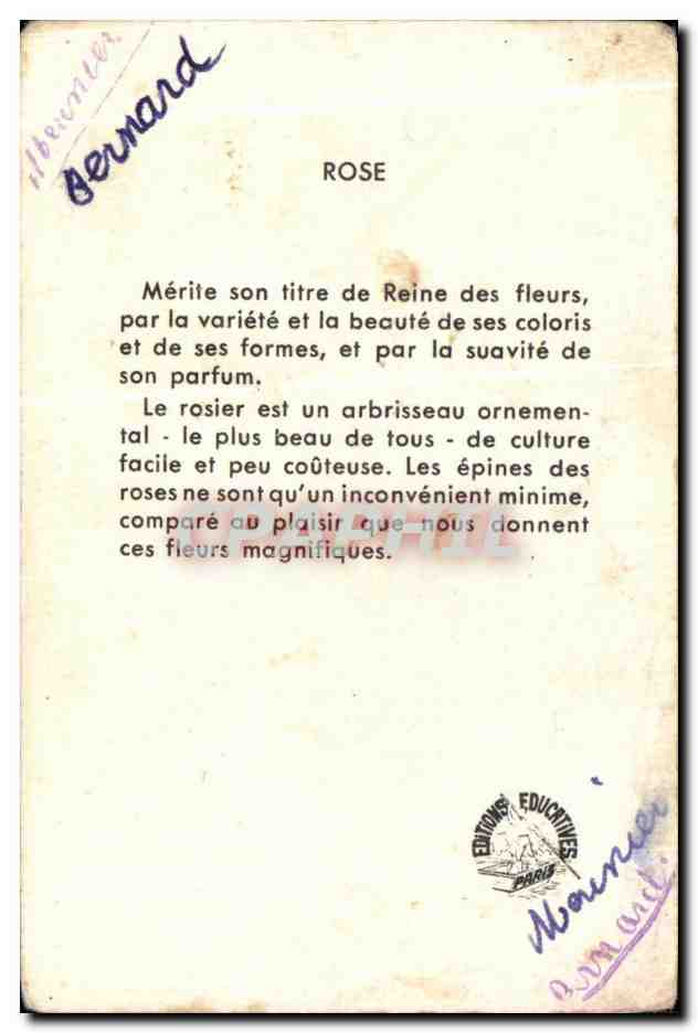 Image RoseFleur  — Verso