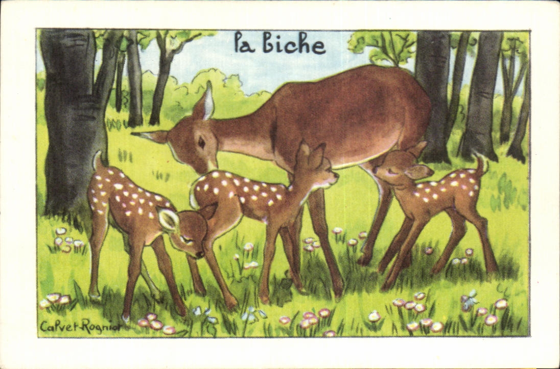 Image La Biche 