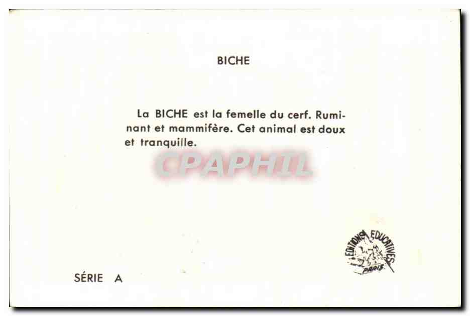 Image La Biche  — Verso
