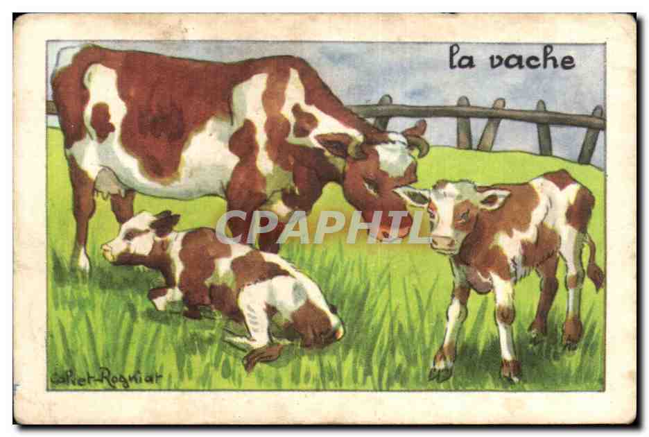 Image La vache 
