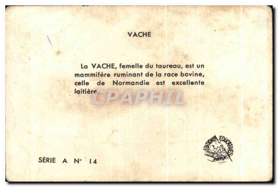 Image La vache  — Rückseite