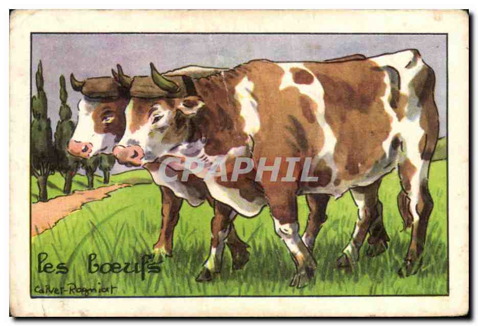 Image La Boeuf 