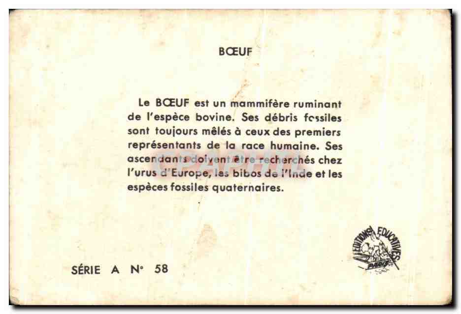 Image La Boeuf  — Rückseite