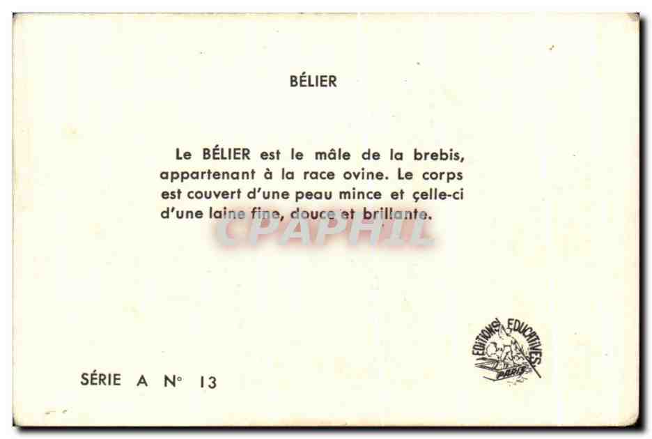 Image La Belier  — Back