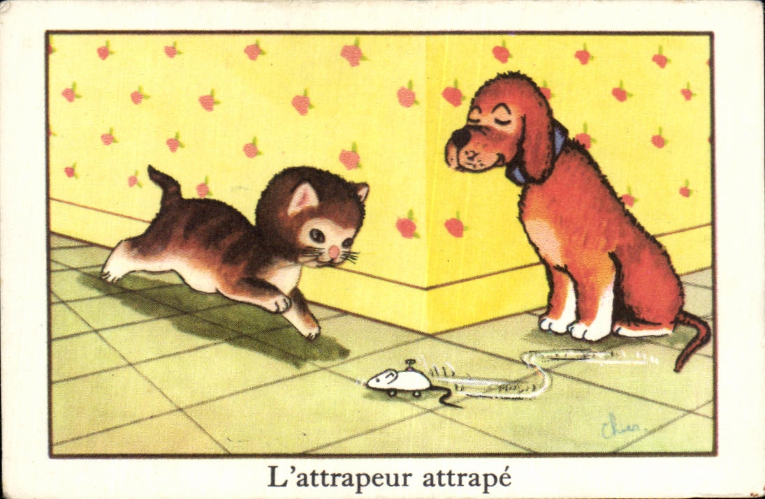 Image L'Attrapeur Attrape Chien Chat souris 