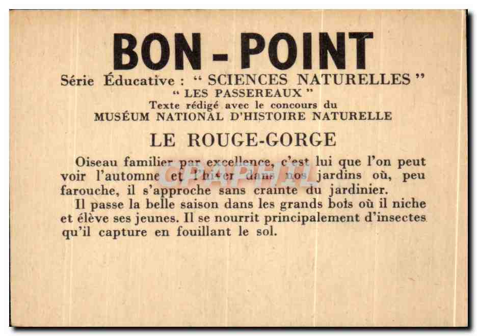 Image Le Rouge Gorge Bon point Oiseau — Verso