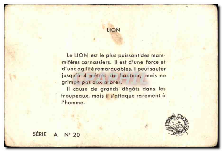Image Le Lion — Verso