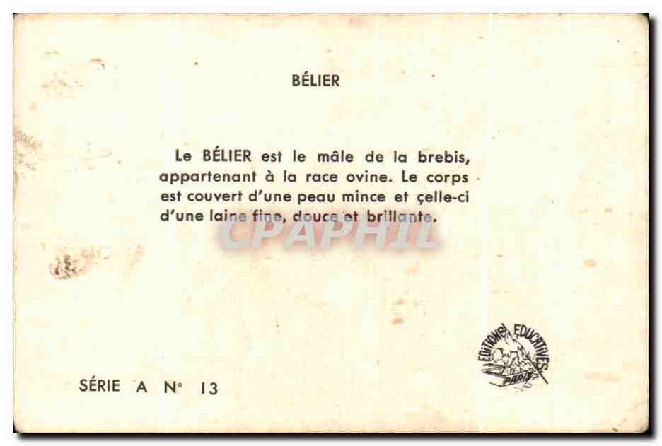 Image Le Bellier — Verso