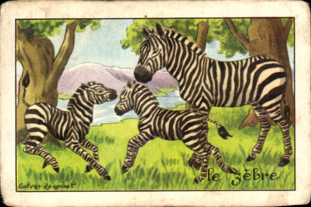 Image Le Zebre