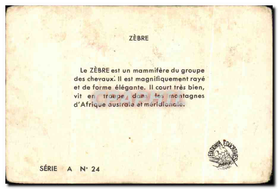 Image Le Zebre — Verso