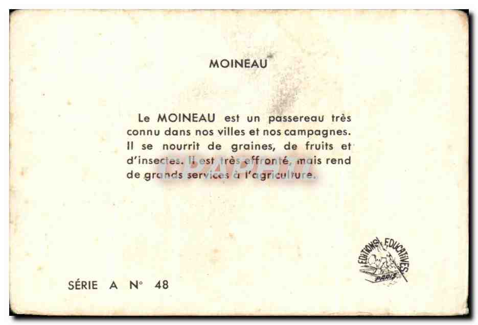 Image Les Moineaux — Verso