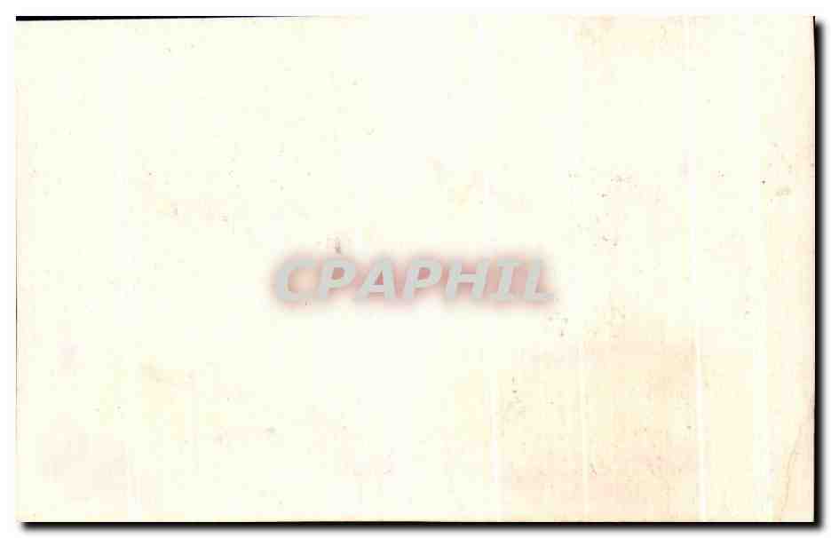 Image Le Physale Baleine — Verso