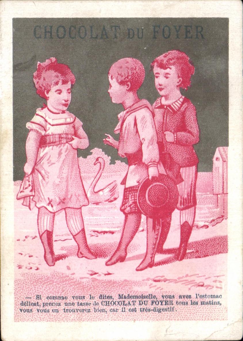 Image Chocolat Du Foyer Enfants Cygne 