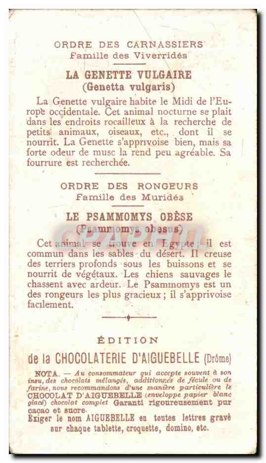 Chromo Le monde des Mammiferes Chocolaterie d'Aiguebelle Drome Psammomys Genette  — Rückseite