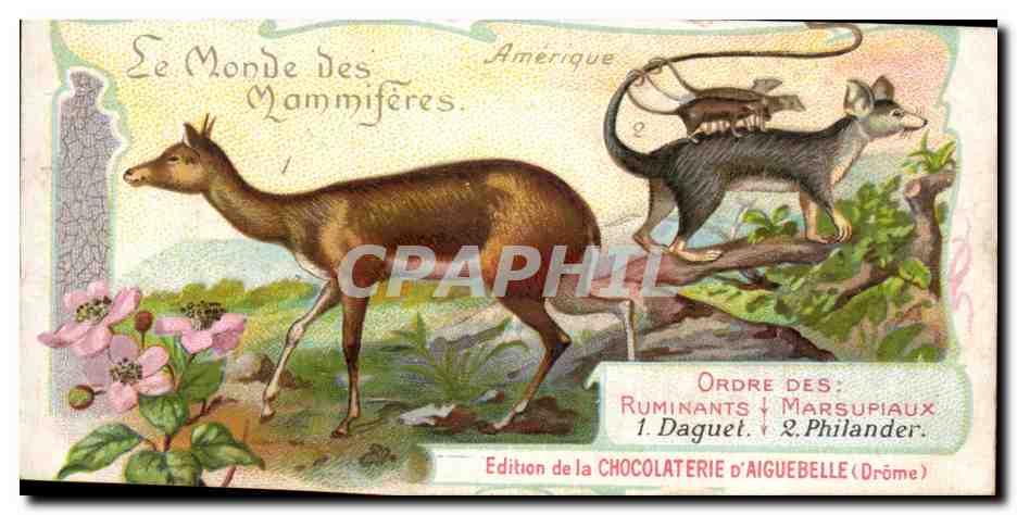 Le Monde des Mammifères — Amérique — Ordre des Ruminants & Marsupiaux — Édition de la Chocolaterie d'Aiguebelle (Drôme)