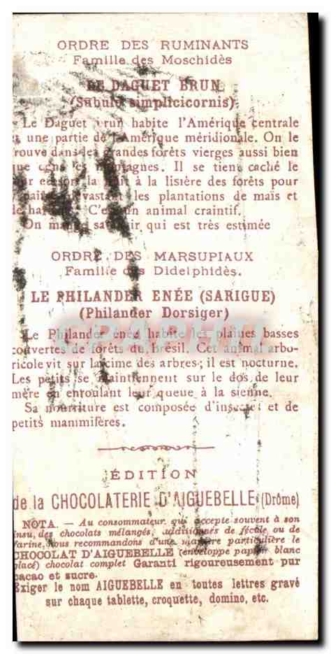 Le Monde des Mammifères — Amérique — Ordre des Ruminants & Marsupiaux — Édition de la Chocolaterie d'Aiguebelle (Drôme) — Rückseite