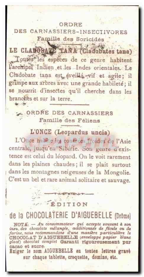 Chromo Le Monde Des Mammiferes Chocolaterie d'aiguebelle Drome  — Verso