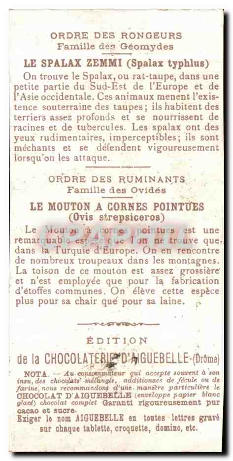 Chromo Le Monde Des Mammiferes Chocolaterie d'aiguebelle Drome Vigogne Capromys  — Rückseite